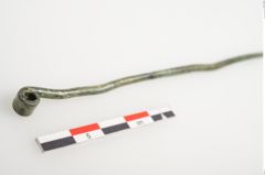 Foto von Bronzerollenkopfnadel (NHMW-PRAE-026509)